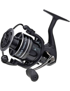 Dam Molen Quick Fortuna FD BB