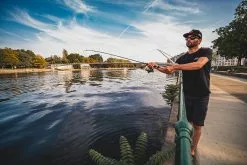 FOX RAGE Spin Hengel Street Fighter Light Shad 2.20m - 5/20gr -Goedkope Hengels winkel fox rage spin hengel street fighter light shad 220 5