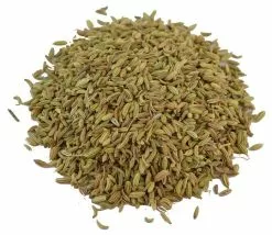 Reniers Fishing Venkelzaad 500gr