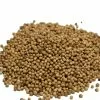 Reniers Fishing Verse Koriander 500gr -Goedkope Hengels winkel reniers fishing verse koriander 500gr