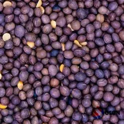 Reniers Fishing Wikken 1 Kilo