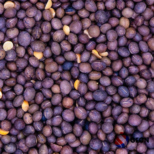 Reniers Fishing Wikken 1 Kilo 3 Reniers Fishing Wikken 1 Kilo