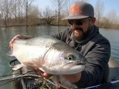 SAKURA Fat Skoon Area 30mm 2.4gr -Goedkope Hengels winkel sakura fat skoon area 30mm 24gr 2