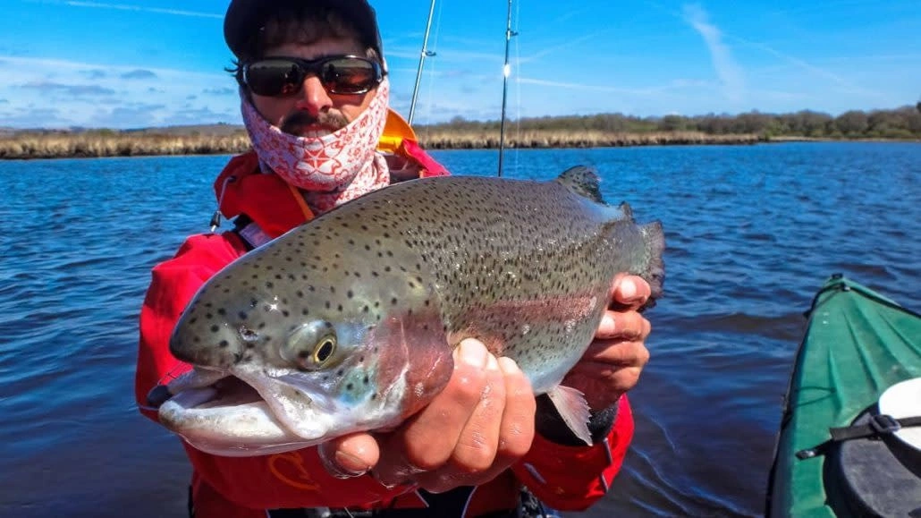 SAKURA Trout Single Assist Hook - Black Nickel 4 SAKURA Trout Single Assist Hook - Black Nickel - Afbeelding 2