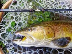 SAKURA Tsubaki Trout Game Spinning Reel -Goedkope Hengels winkel sakura tsubaki trout game spinning reel 3